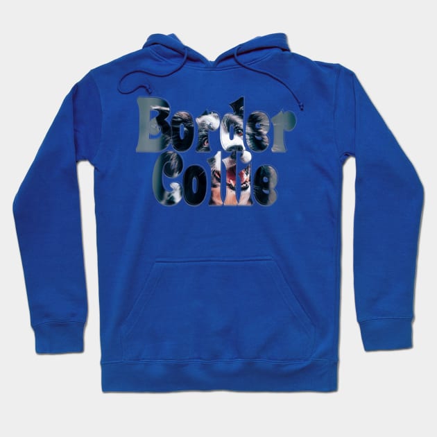 Border Collie Hoodie by afternoontees